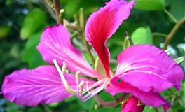 读心术最厉害，能一眼看穿谎言的三大星座，直觉最准，犹如诸葛亮