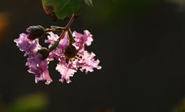 这三大星座的人爱你时柔情似水，一旦不爱了，就会绝情到底