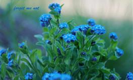 放大招！搞定高冷生肖男的正确姿势