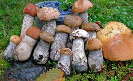 5月，这些星座灵性直觉最强