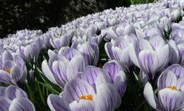 2022年你的守护女神是谁