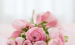 Lunita占星之旅天蝎座一周运势(5.16-5.22)