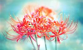 水星逆行期间，你的爱情运势如何发展