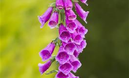 天长地久v.s.天生相克的星座配对