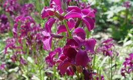 神叨酱心灵疗愈指引2022年5月25日