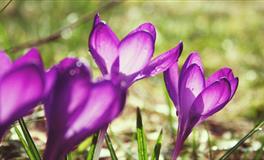 神叨酱心灵疗愈指引2022年5月28日