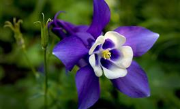 双子座生日快乐，清晰地去感受你身边的所有事物