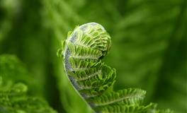 羲邑师姐生肖龙一周运势(5.16-5.22)