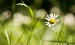 星座女神巨蟹座一周运势(5.23-5.29)