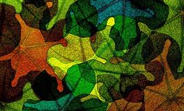 Kiddo一周星座运势（5.16-5.22）