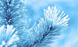 Pandora占星小巫12星座一周塔罗运势（5.30-6.5）