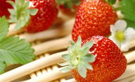 苏珊米勒2022年5月天秤座运势完整版