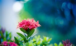 娜迪亚天秤座本周运势（5.30-6.5）