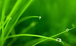 静电鱼天蝎座一周运势(5.9-5.15)