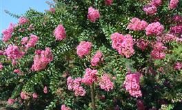 海底世界心测：４道题测出你的【未来生活】与工作类型