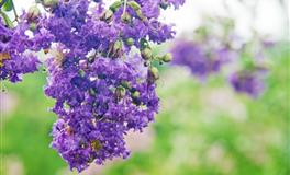 苏珊米勒每日运势2022年5月16日