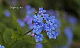 竹猫星球一周星座塔罗运势（5.2-5.8）