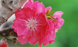 杀破狼水瓶座一周运势(5.23-5.29)