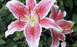 2022年5月事业榜，能顺风顺水、职场闪闪发光的星座是......