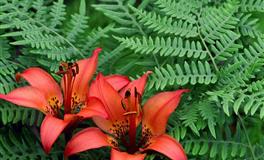 闹闹女巫店天秤座一周运势(5.23-5.29)