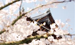 2022年即将过去一半，这4个星座要想成功，不能只靠运气了！