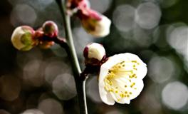 做事干净利落，最具有主见的四大星座，独立自主，坚强到让人心疼