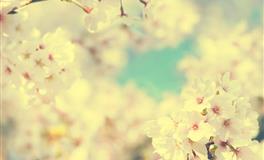 不服输，有能耐扭转命运的星座