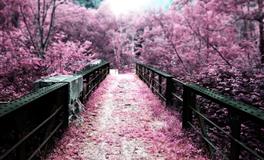 六月这几个星座桃花真的太旺啦！