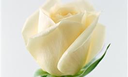 娜迪亚双子座本周运势（6.13–6.19）