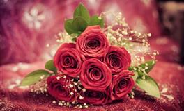 每个星座都会经历的六月最浪漫的周末时光！