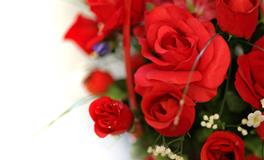 苏珊米勒每日运势2022年6月13日