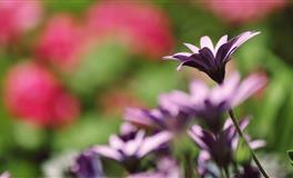 既沉稳又大气的星座，遇事不惊，智慧高深