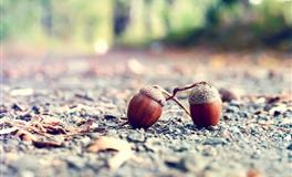 杀破狼水瓶座一周运势(6.13-6.19)