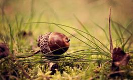 猜心技能满分，一眼识破你的心的星座