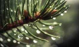 饱受“姨妈”摧残时最想拥有的星座男票