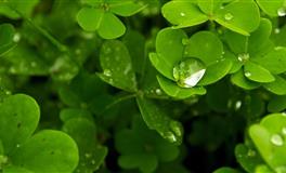 苏珊米勒每日运势2022年6月20日