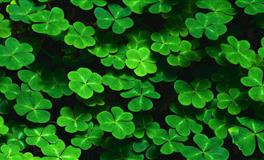 杀破狼天秤座一周运势(6.20-6.26)