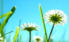 温柔体贴，旺夫益家，最值得男人爱的3属相女，有你吗？