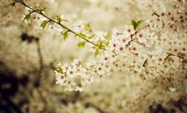 闹闹女巫店天秤座一周运势(6.13-6.19)