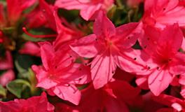 迈入下半年！十二星座『爱情、人际』重点走势大公开