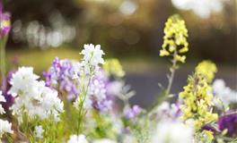 不介意“倒插门”的星座男