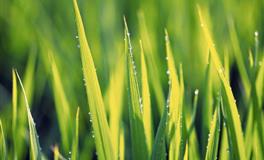 迪万-2022年7月27日-8月2日天王星合相北交点：不可逆转的突变