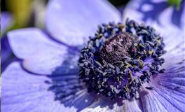 苏珊米勒每日运势2022年6月6日