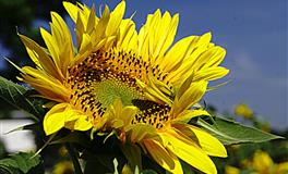 巨蟹座生日月，用细腻的情绪发现更多的可能