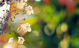 洒脱不受拘束的男人最招这些星座女的喜爱