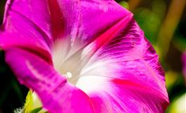 柒爸双子座一周运势（6.27-7.3）