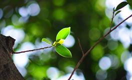 你有【不婚】的体质吗？