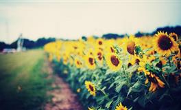 厉害！做事不按套路出牌的星座