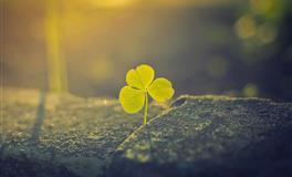 撩汉实力最强的5大星座女，天秤座上榜，第一名是TA