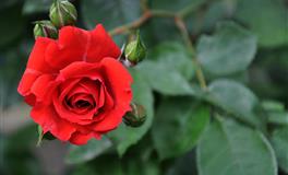 交往过程时候要注意的3个星座，第一太记仇，第二太自私，第三爱算计人